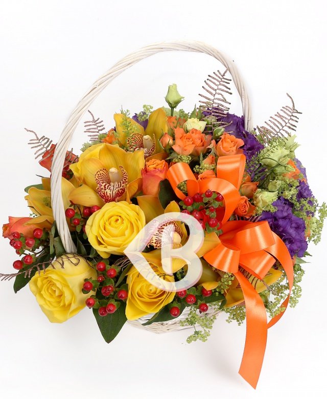 Imaginea produsului Entuziasm Colorat