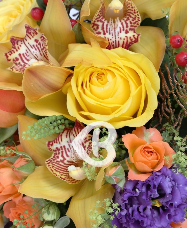 Imaginea produsului Entuziasm Colorat