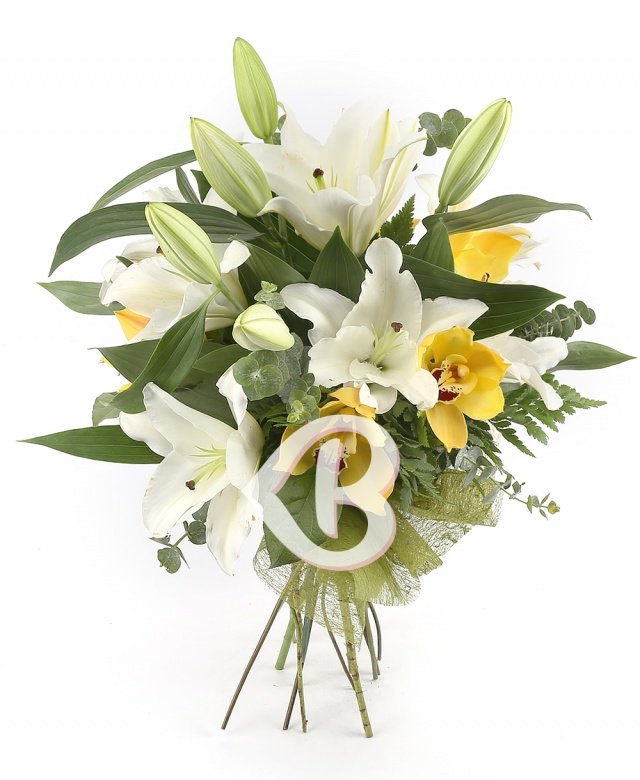 Imaginea produsului Estuarul Sentimentelor