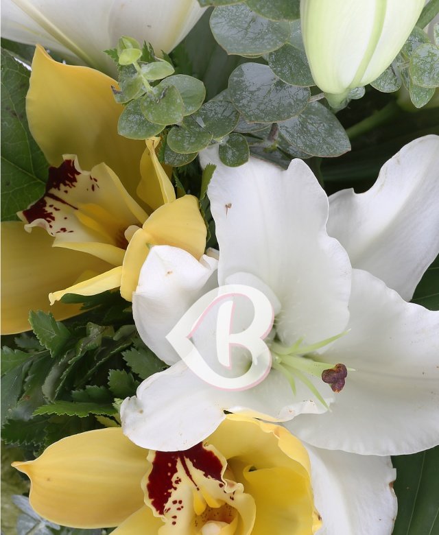 Imaginea produsului Estuarul Sentimentelor