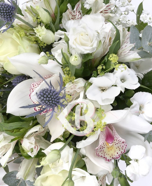 Imaginea produsului Respect Infinit