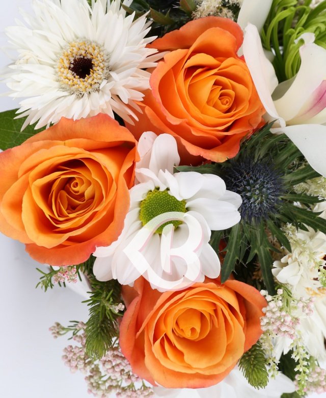 Imaginea produsului Zi Fericită