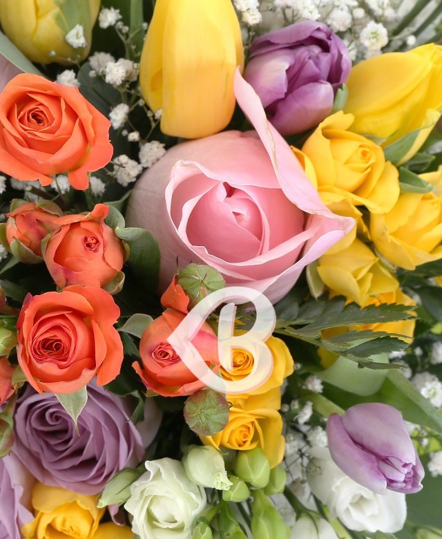 Imaginea produsului Surpriză Colorată