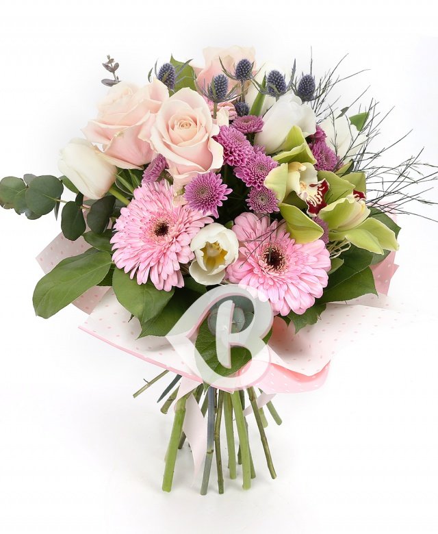 Imaginea produsului Privire Blândă