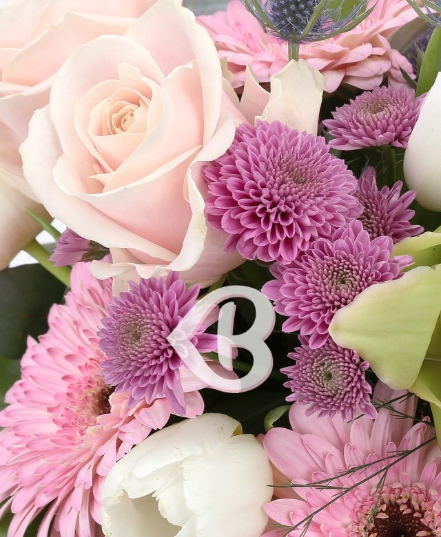 Imaginea produsului Privire Blândă