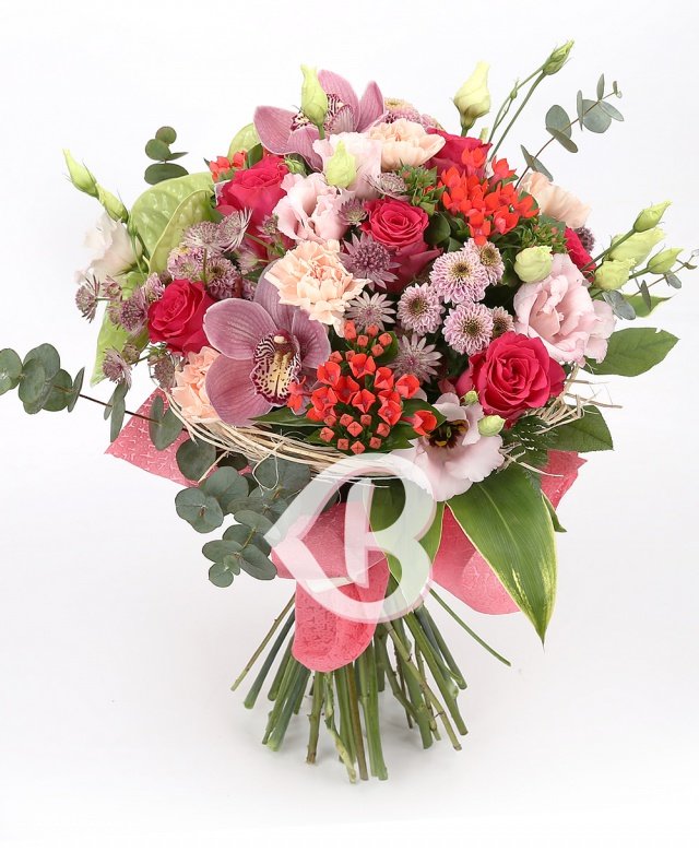 Imaginea produsului Adorație Covârșitoare