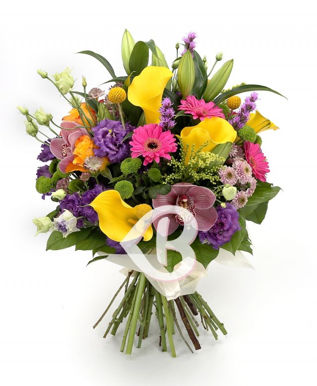 Imaginea produsului Apreciere Fascinantă