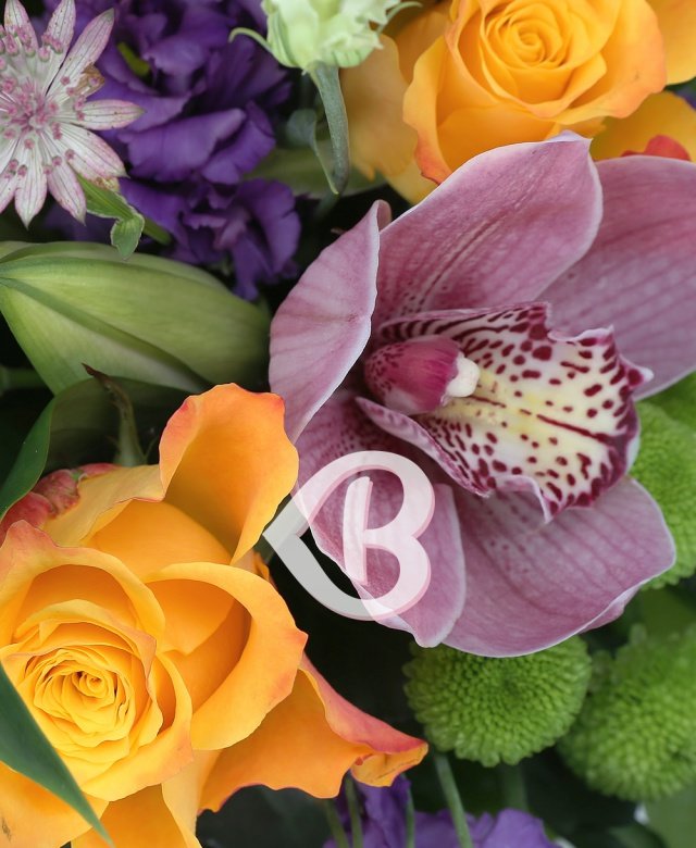 Imaginea produsului Apreciere Fascinantă