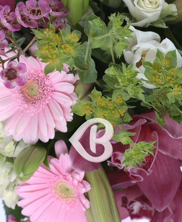 Imaginea produsului Roz Elocvent