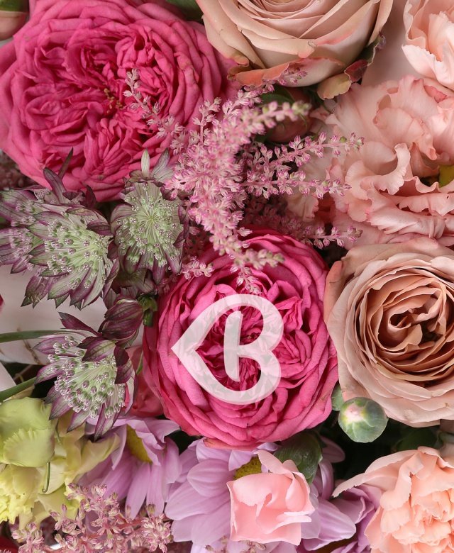 Imaginea produsului Rafinament Expresiv