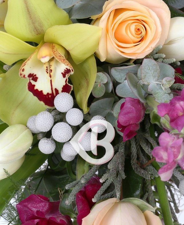 Imaginea produsului Tumult Triumfător