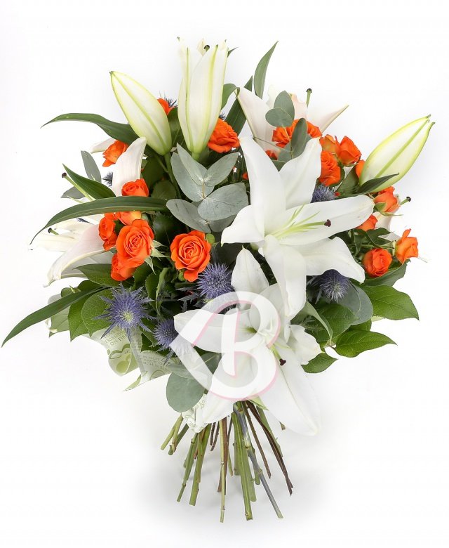 Imaginea produsului Bucuria Succesului