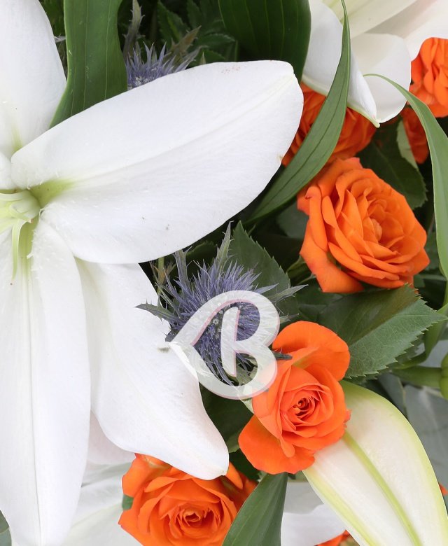 Imaginea produsului Bucuria Succesului