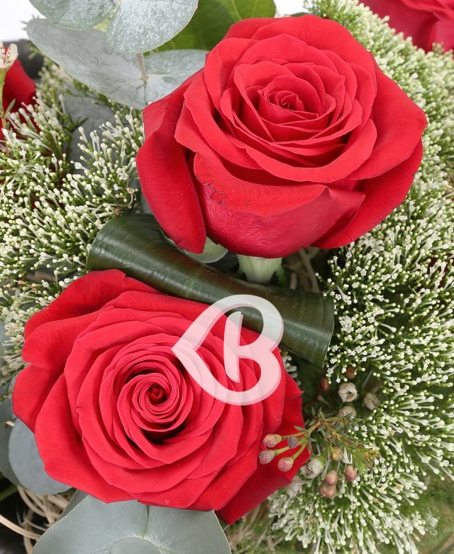 Imaginea produsului Trandafiri Prestigioși