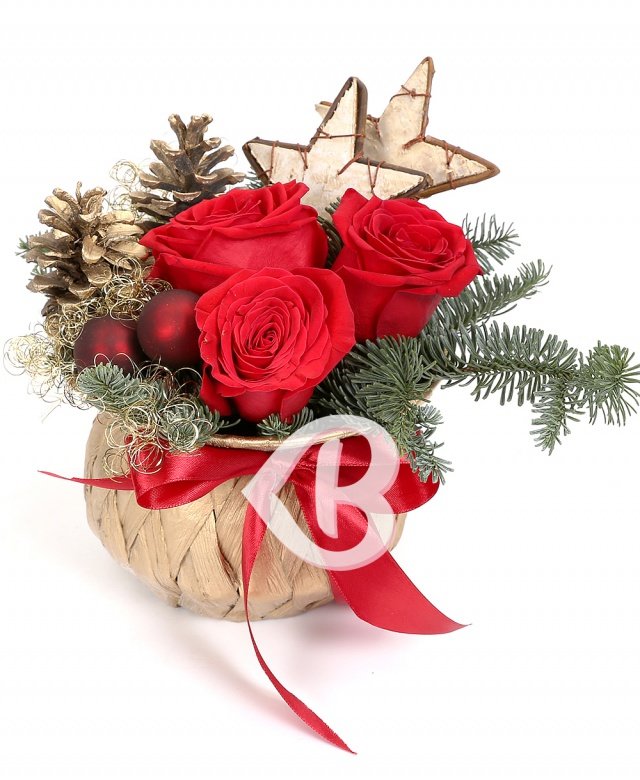 Imaginea produsului Veste Minunată