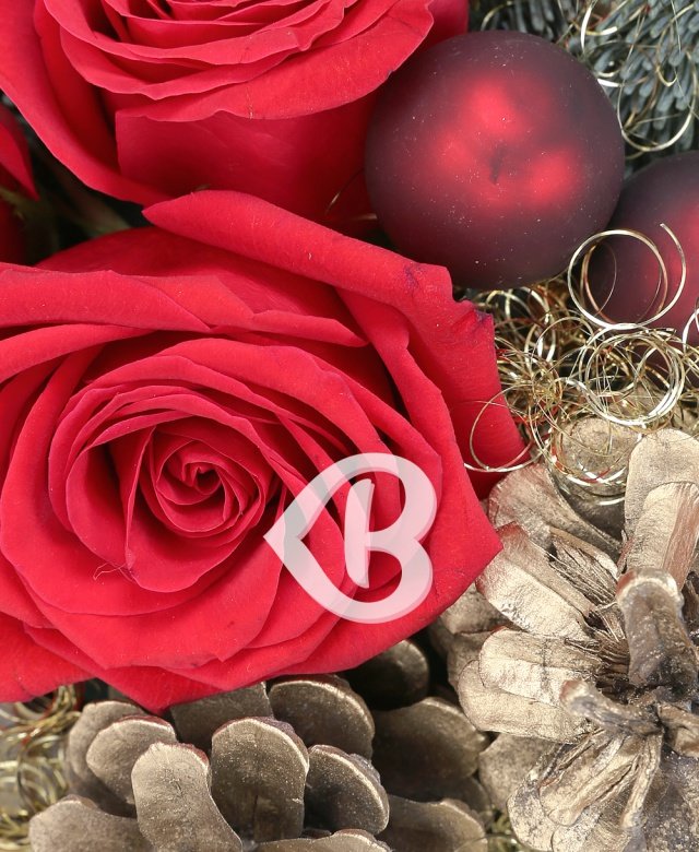 Imaginea produsului Veste Minunată