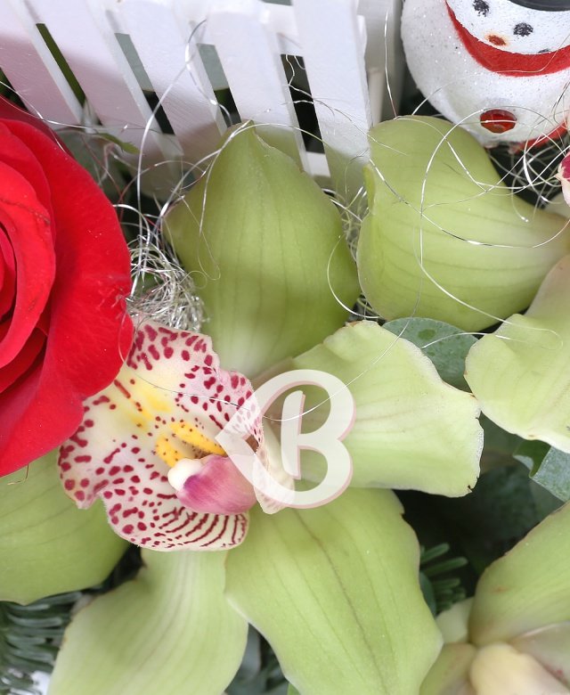 Imaginea produsului Sezonul Bucuriilor