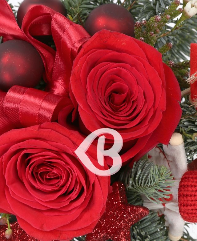 Imaginea produsului Frumusețea Sărbătorilor