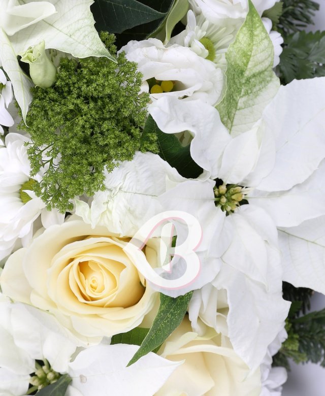 Imaginea produsului Gânduri De Pace