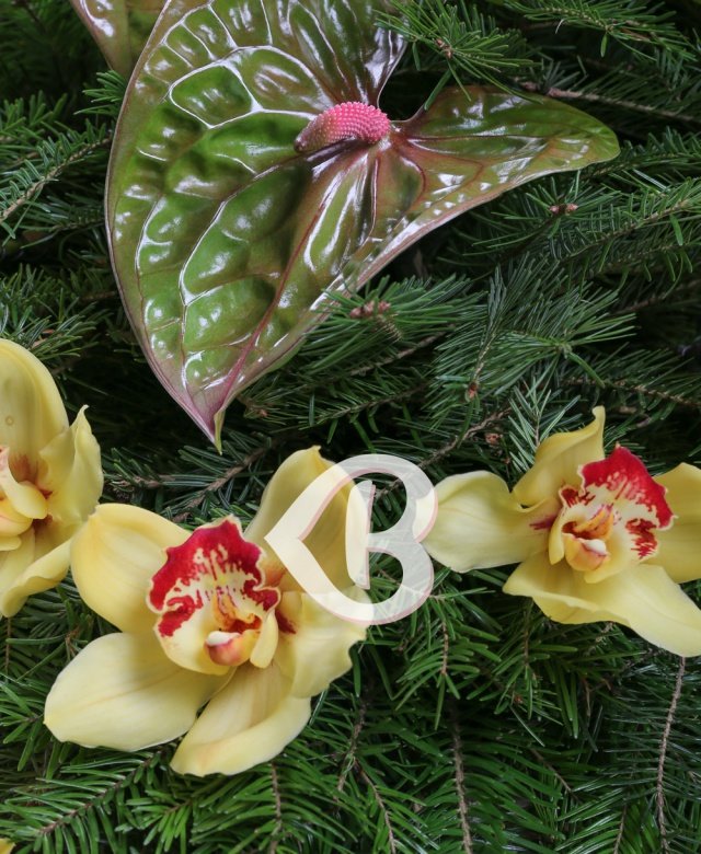 Imaginea produsului Amintiri Veșnice