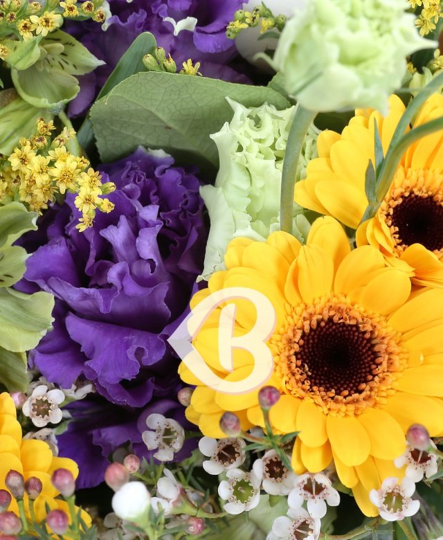 Imaginea produsului Natura Noastră