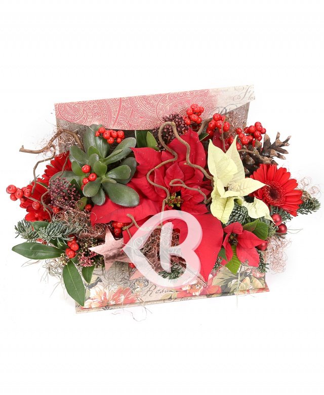 Imaginea produsului Surprize De Poveste