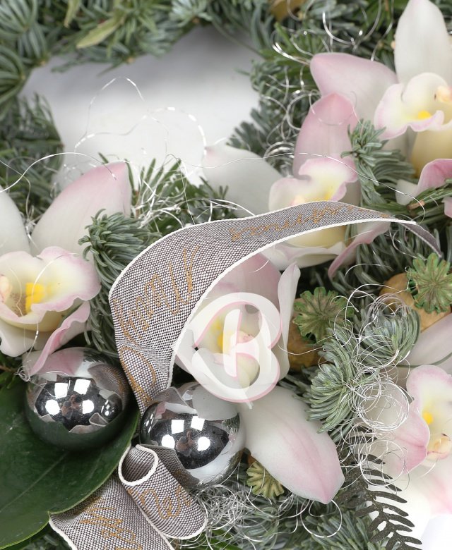 Imaginea produsului Mereu Cu Bucurie