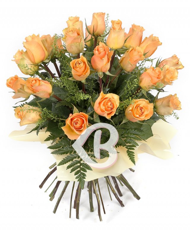 Imaginea produsului Inocența Iubirii