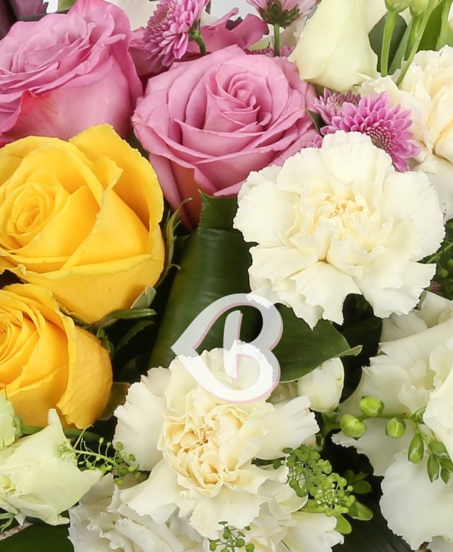 Imaginea produsului Romanță Exuberanță