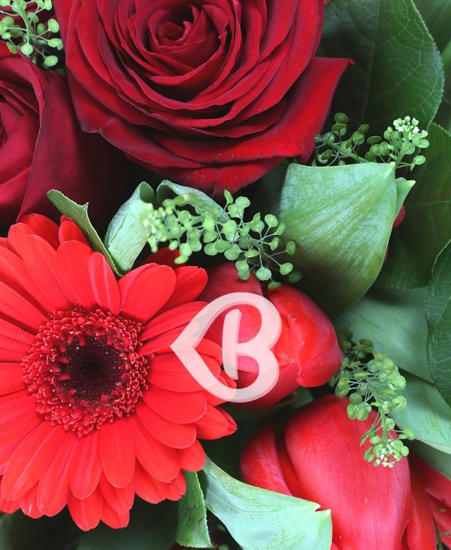 Imaginea produsului Dragoste Pasională