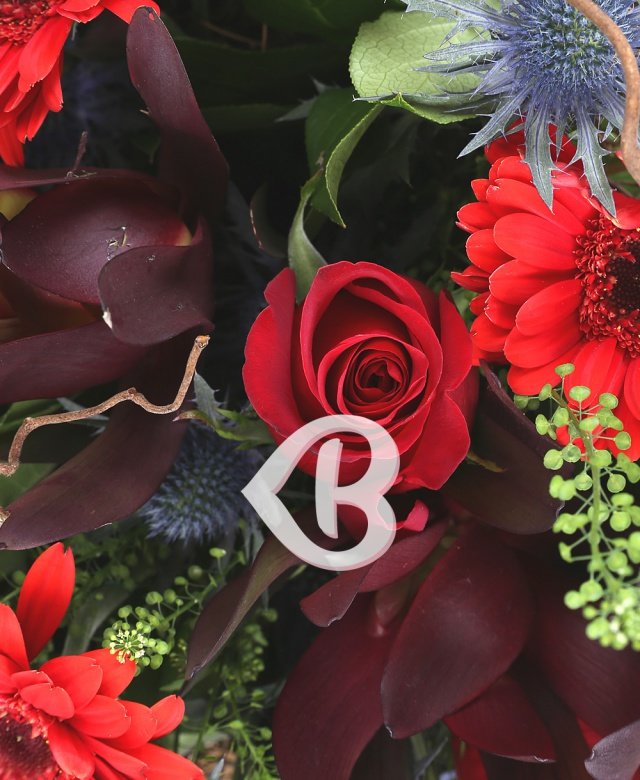 Imaginea produsului Iubire împărtășită