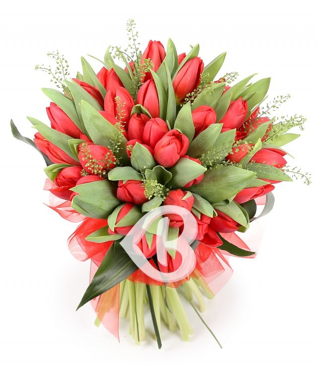 Imaginea produsului Lalele Ornate