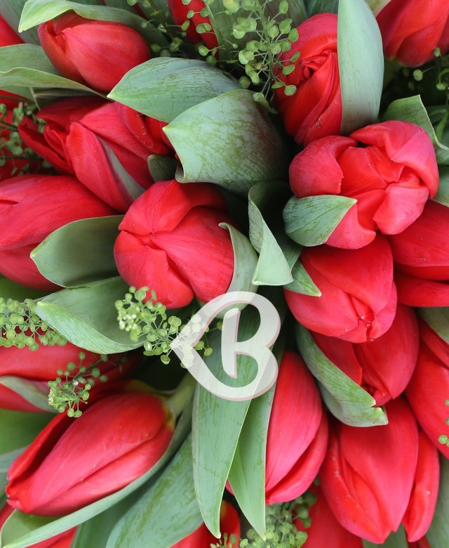 Imaginea produsului Lalele Ornate