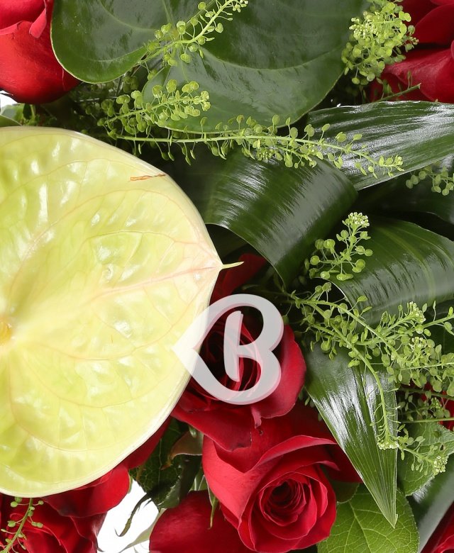 Imaginea produsului Pasiune înălțătoare