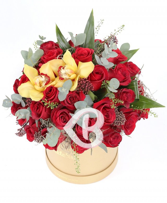 Imaginea produsului Pasiune și Romanță