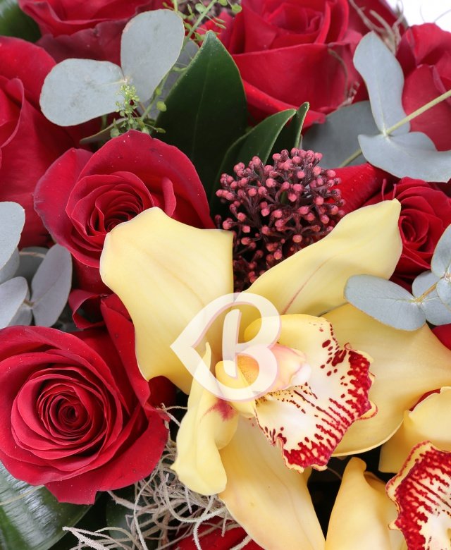 Imaginea produsului Pasiune și Romanță