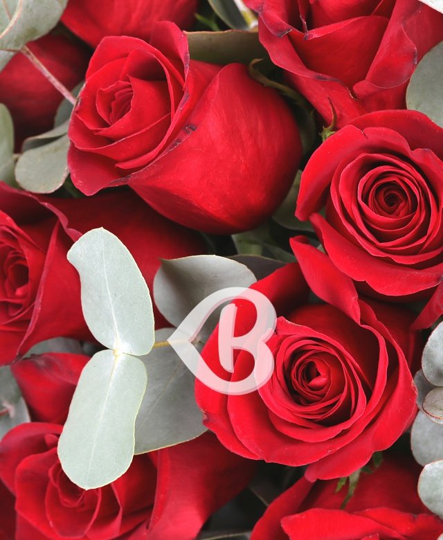 Imaginea produsului Minunăție Roșie