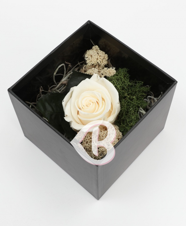 Imaginea produsului Trandafir Alb Criogenat în Cutie Surpriză