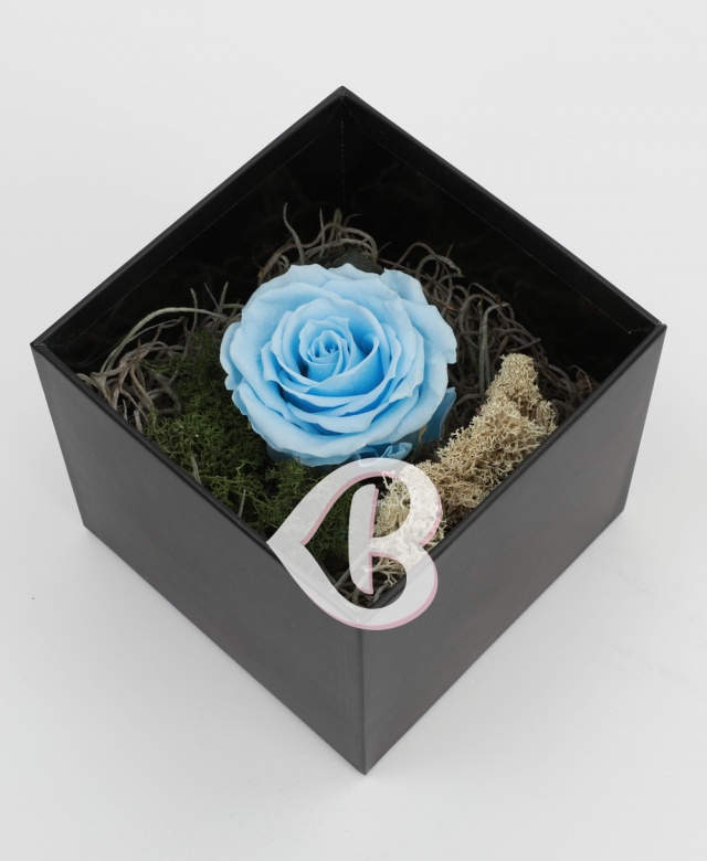 Imaginea produsului Trandafir Bleu Criogenat în Cutie Surpriză