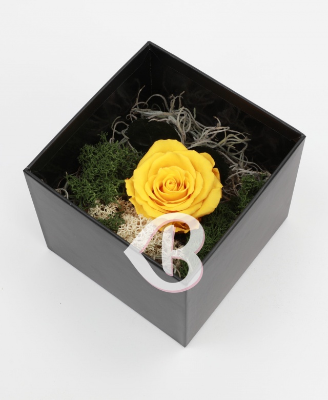 Imaginea produsului Trandafir Galben Aprins Criogenat în Cutie Surpriză