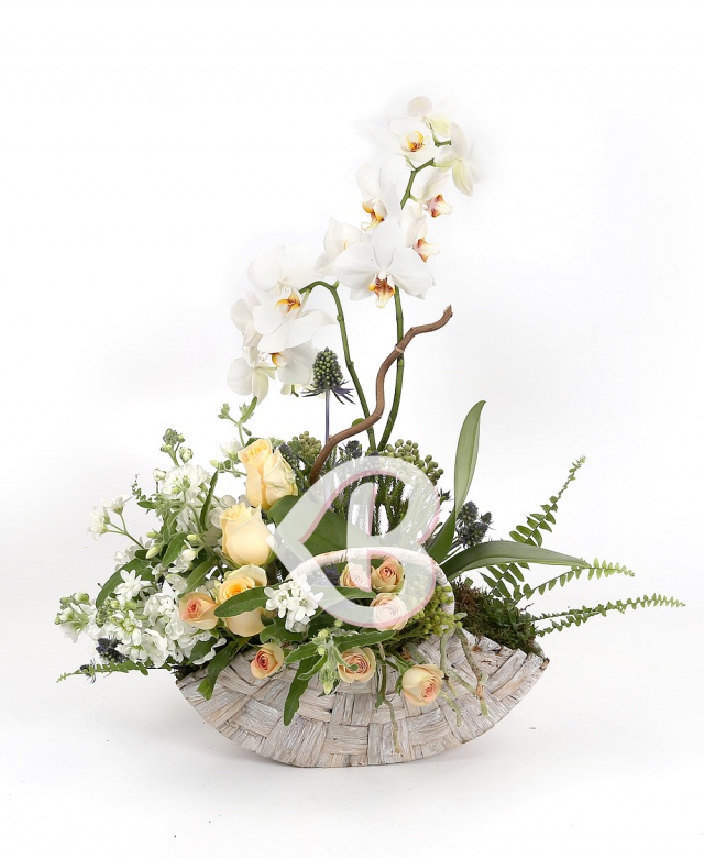 Imaginea produsului Elocvență Unică