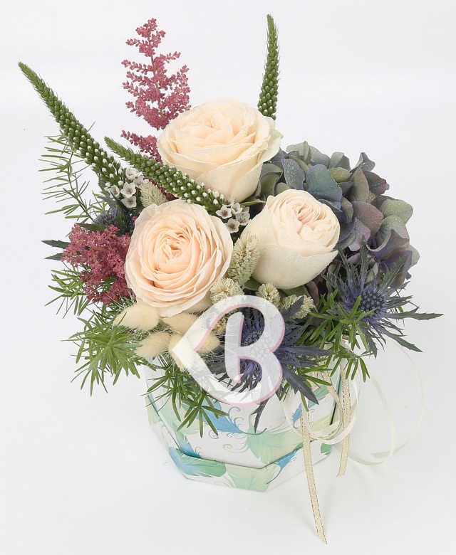 Imaginea produsului Fascinație Grăitoare