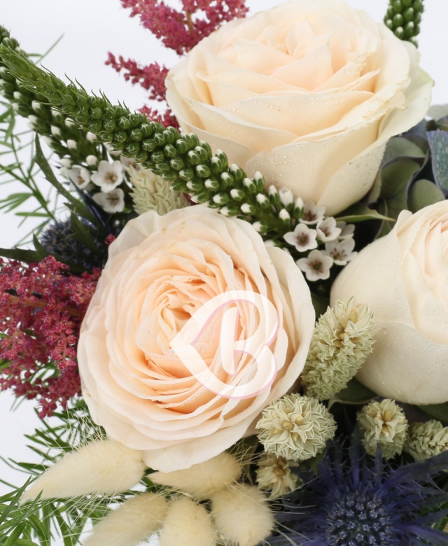 Imaginea produsului Fascinație Grăitoare