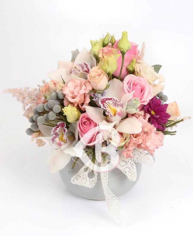 Imaginea produsului Fermecător