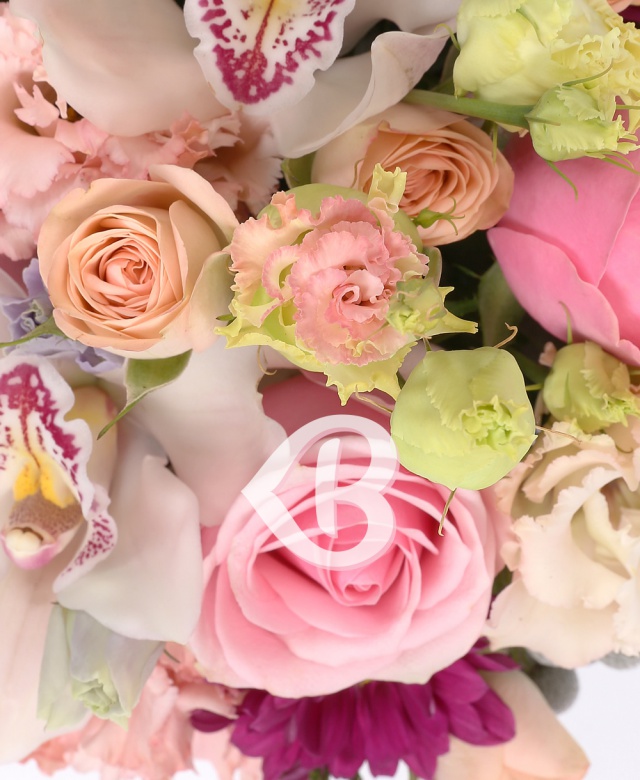 Imaginea produsului Fermecător