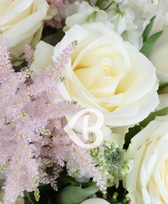 Imaginea produsului Iubire Pură