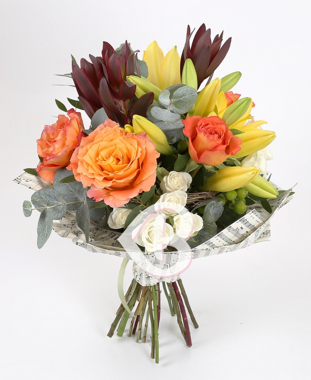 Imaginea produsului Oda Bucuriei