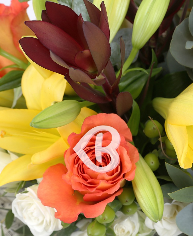 Imaginea produsului Oda Bucuriei