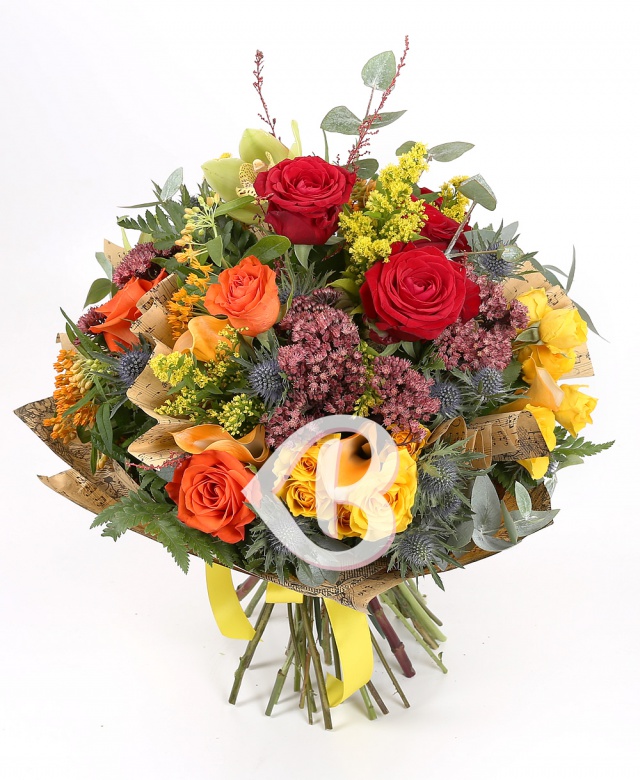 Imaginea produsului Văpaie Fermecătoare