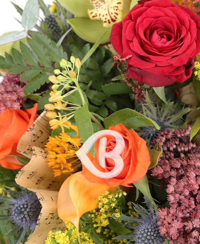 Imaginea produsului Văpaie Fermecătoare